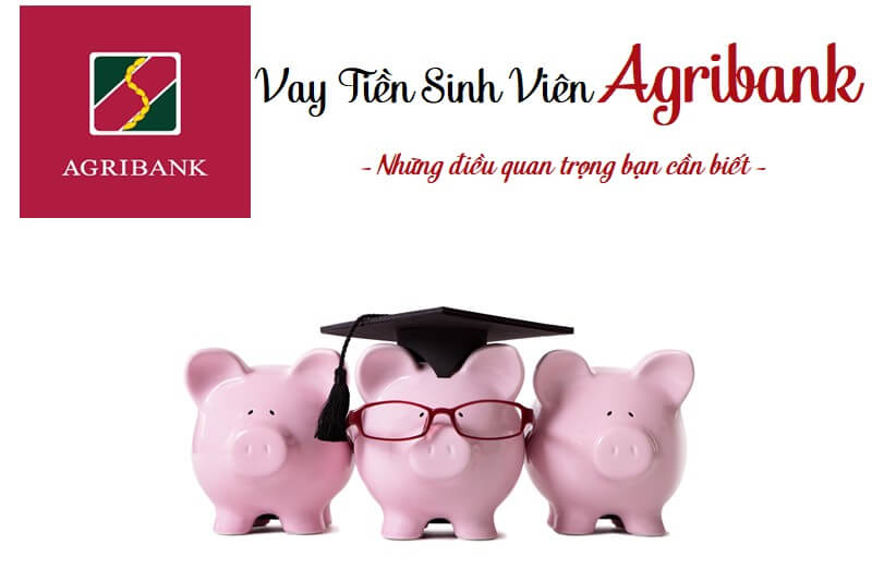GIAO DIỆN MÀN HÌNH ĐIỆN THOẠI HIỂN THỊ BƯỚC ĐĂNG KÝ VAY TRỰC TUYẾN KHÔNG CẦN TÀI SẢN ĐẢM BẢO